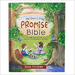 My Own Little Promise Bible