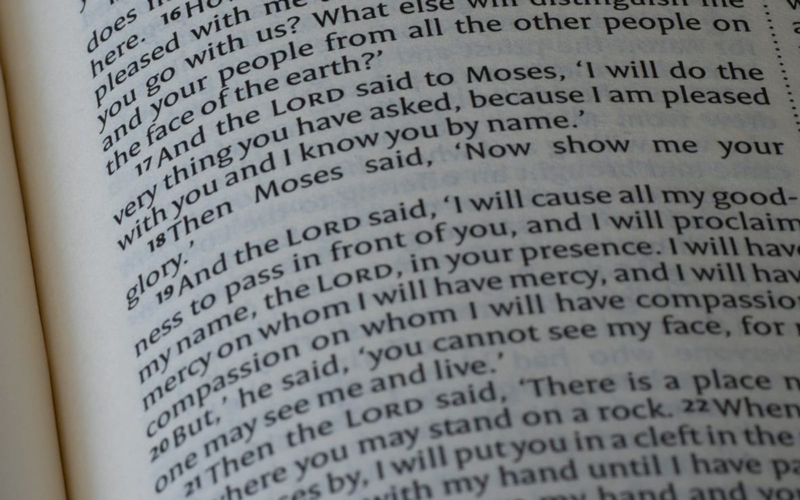 Bibles