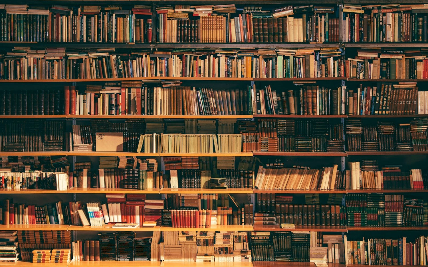 Modern Christian bookstore and library at Floresta Store
