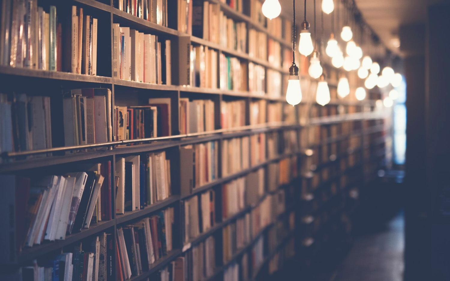 Warm library shelves with Christian books at Floresta Store