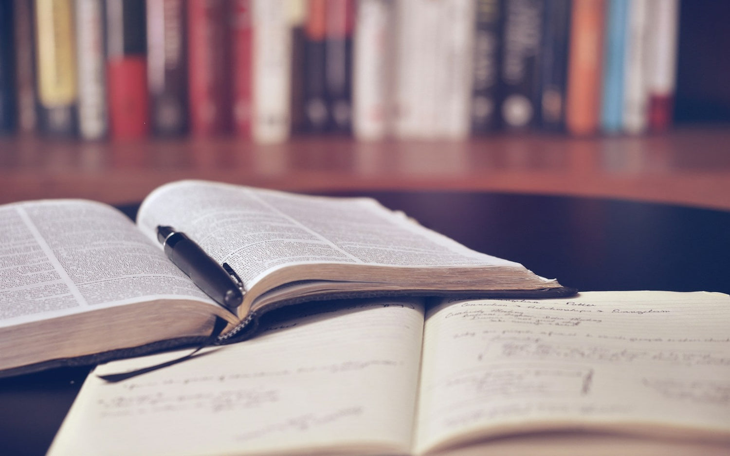 Daily devotionals and faith journals at Floresta Store
