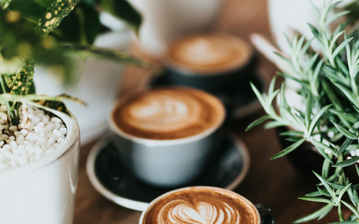Christian mugs and drinkware at Floresta Store