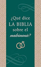¿Qué dice la Biblia sobre el matrimonio? (What Does the Bible Say About Marriage?)