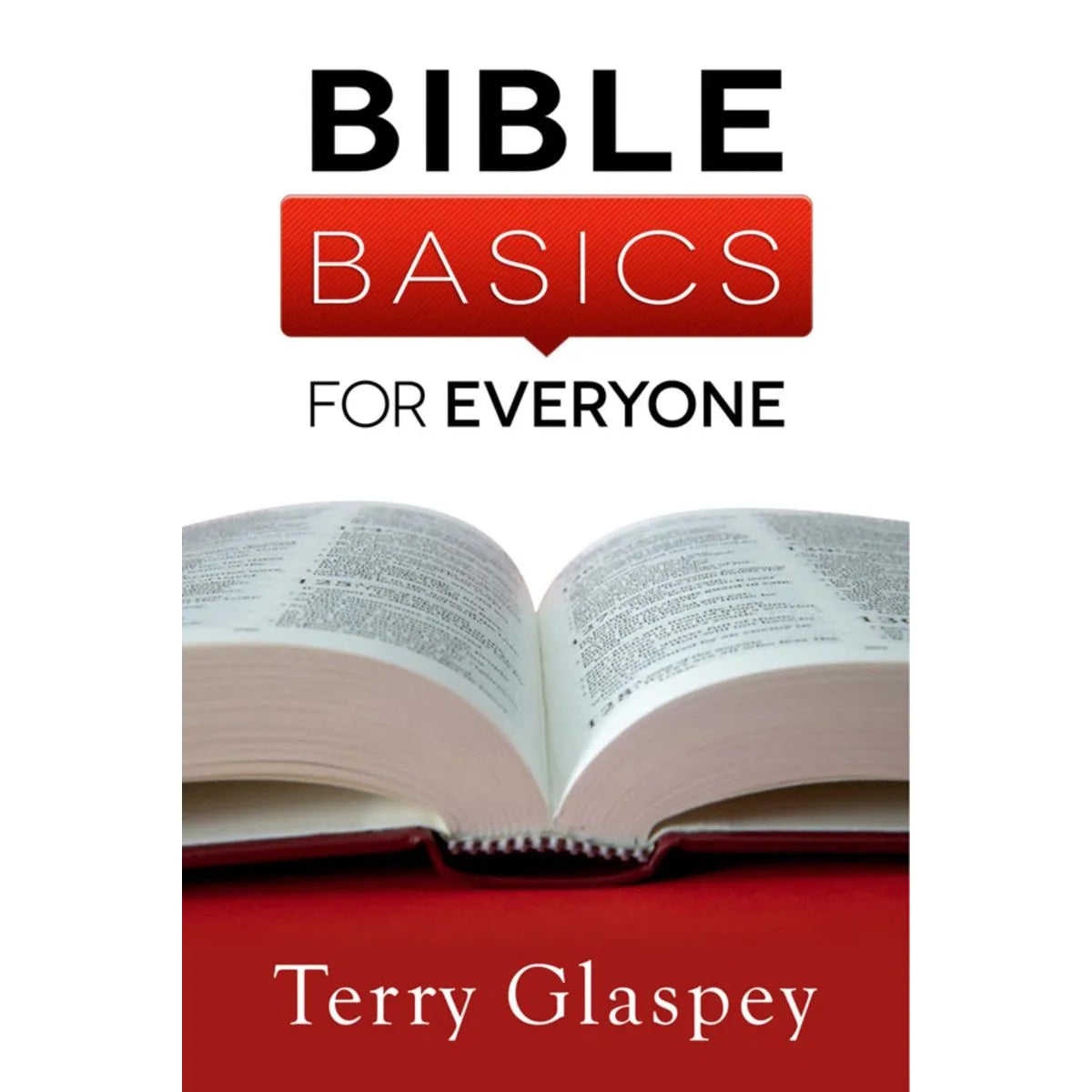 Bible Basics for Everyone | Christian Bookstore FL – Florestabookcafe