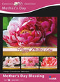 Card-Boxed-Mother's Day Blessing Assorted (KJV)