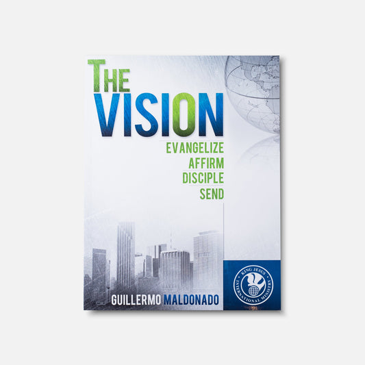 The Vision - Manual