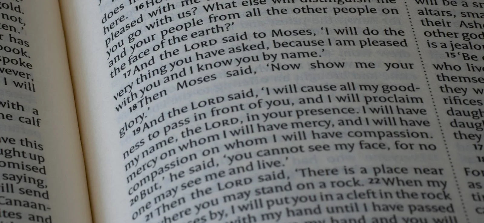 Bibles